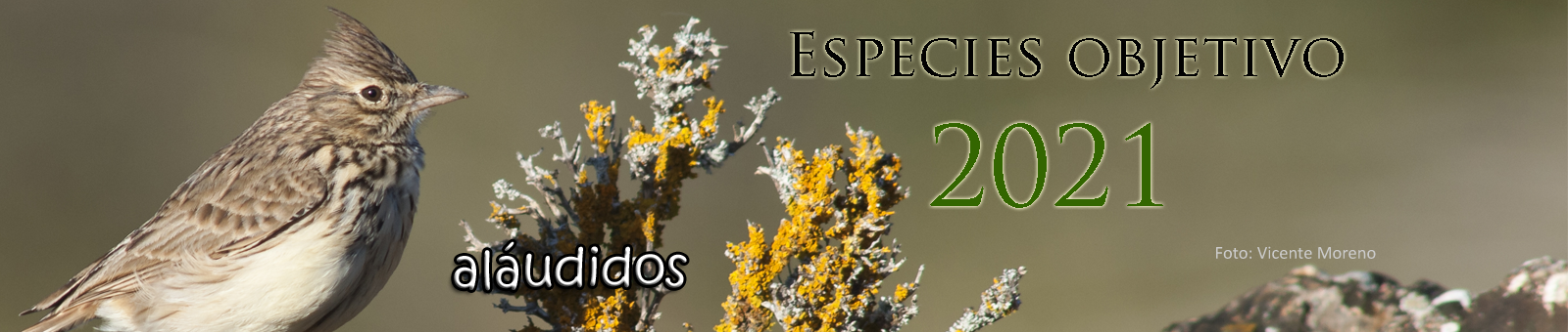 Especies objetivo 2021